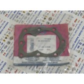 GASKET-CYL HD BS-698717